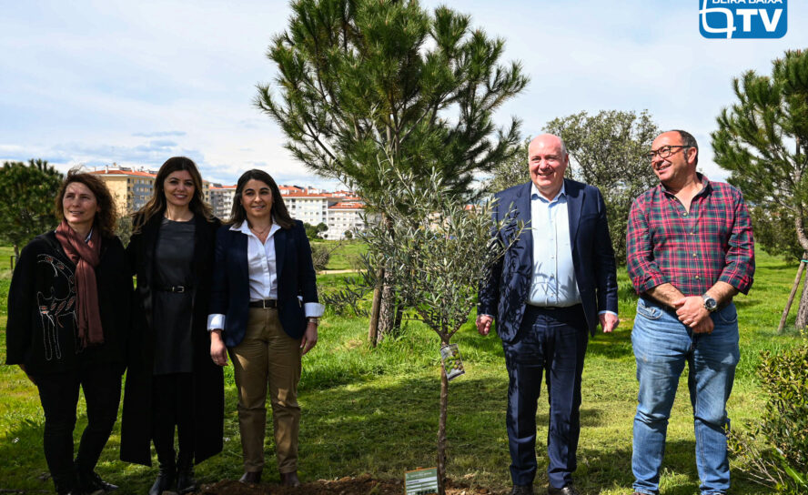 Apresentação da Campanha "Adote uma Árvore - Replantar Castelo Branco"