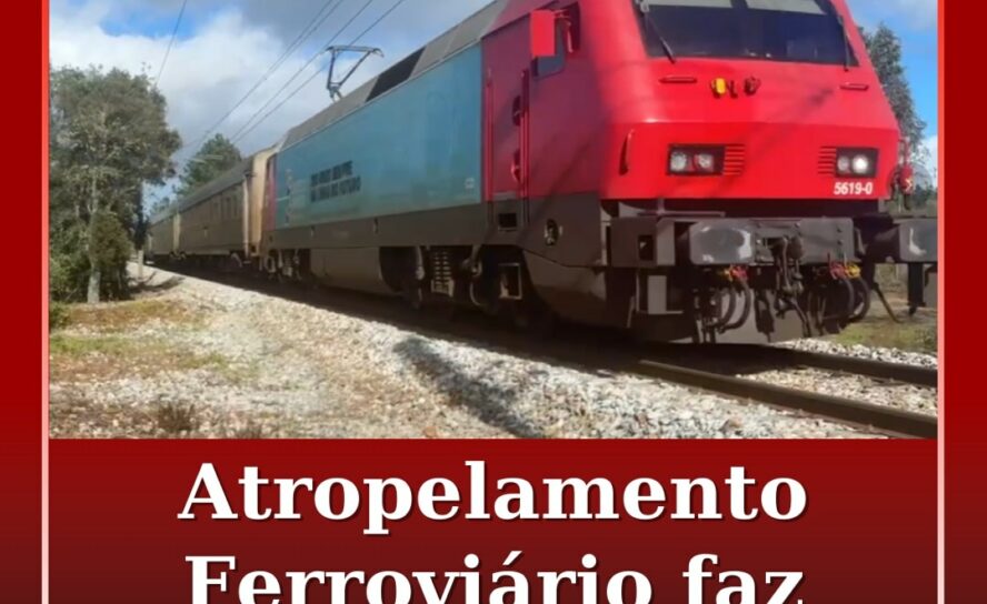 Atropelamento ferroviário em Castelo Branco faz um ferido grave