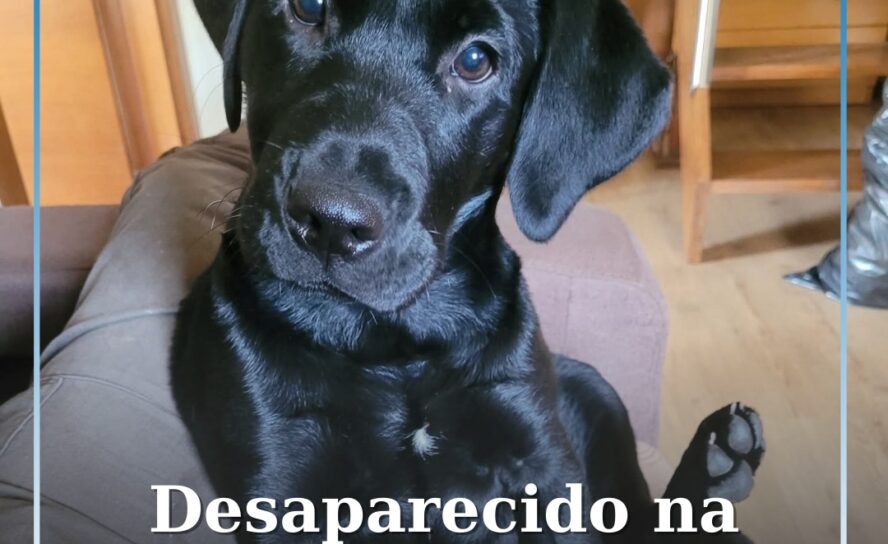 Desaparecido na Serra da Amoreira