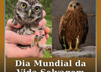 Dia Mundial da Vida Selvagem