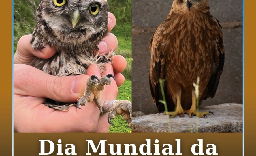 Dia Mundial da Vida Selvagem