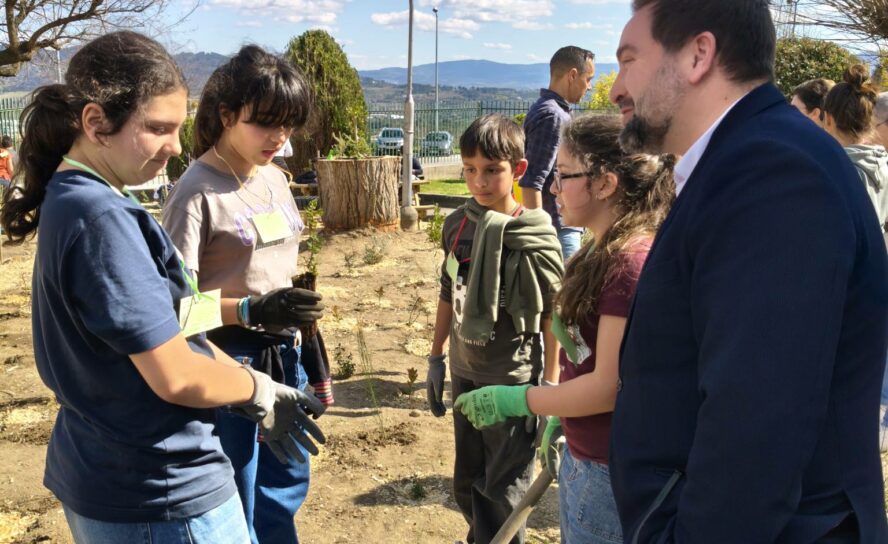Escola Básica de Tortosendo organiza plantação da Micro Floresta