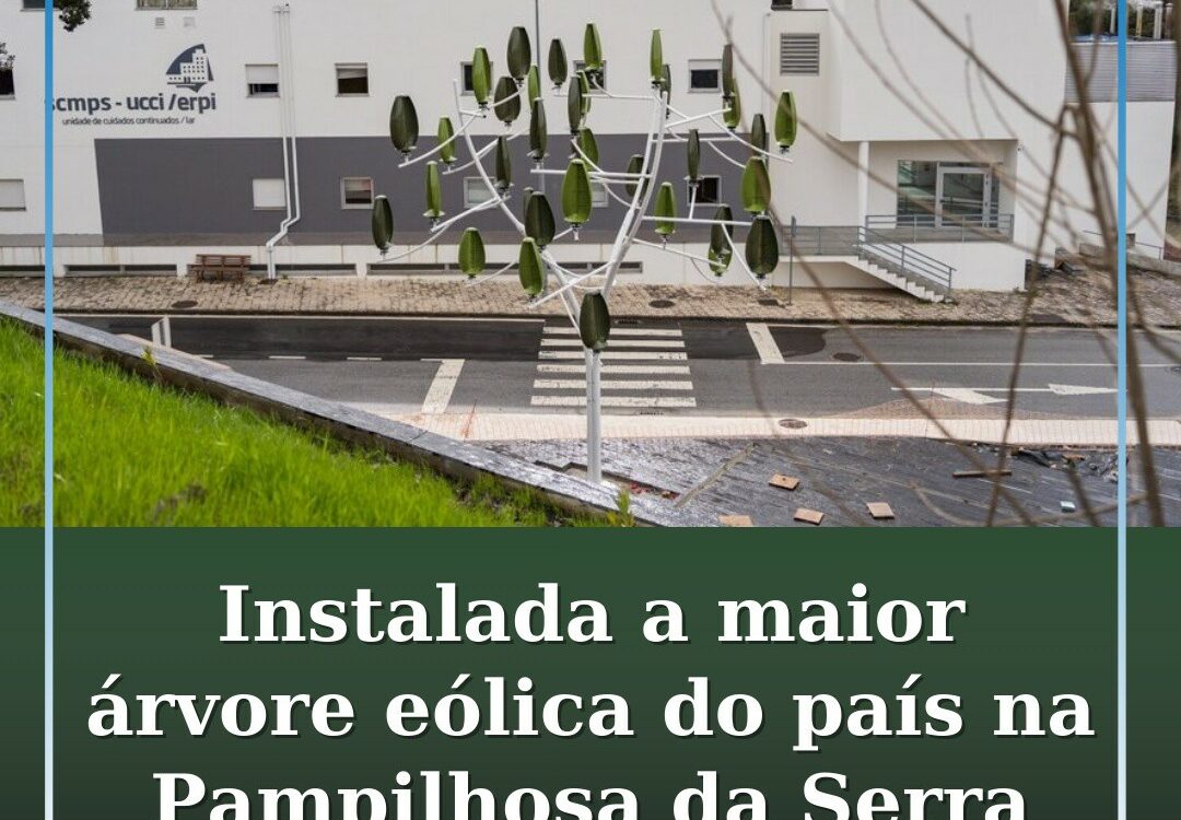 Pampilhosa da Serra recebe a maior árvore eólica do país.