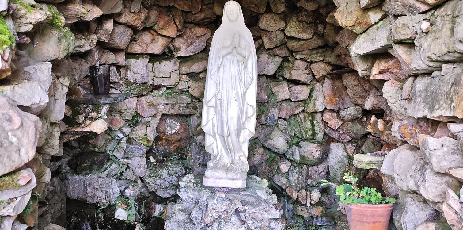 Peregrinos ajudam na limpeza do Seminário