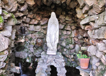 Peregrinos ajudam na limpeza do Seminário