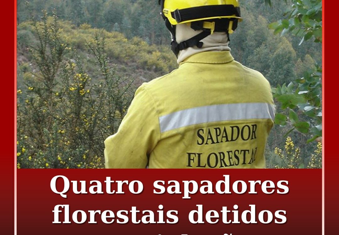 Quatro sapadores florestais detidos por violação