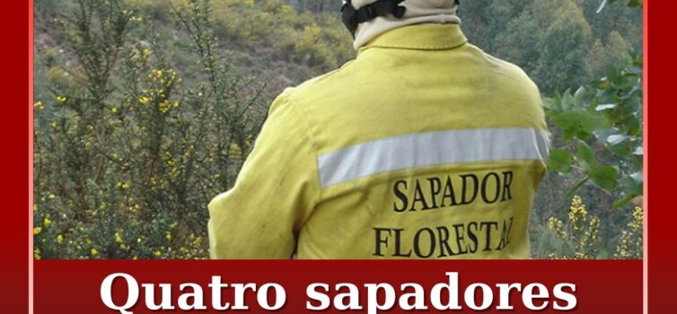 Quatro sapadores florestais detidos por violação