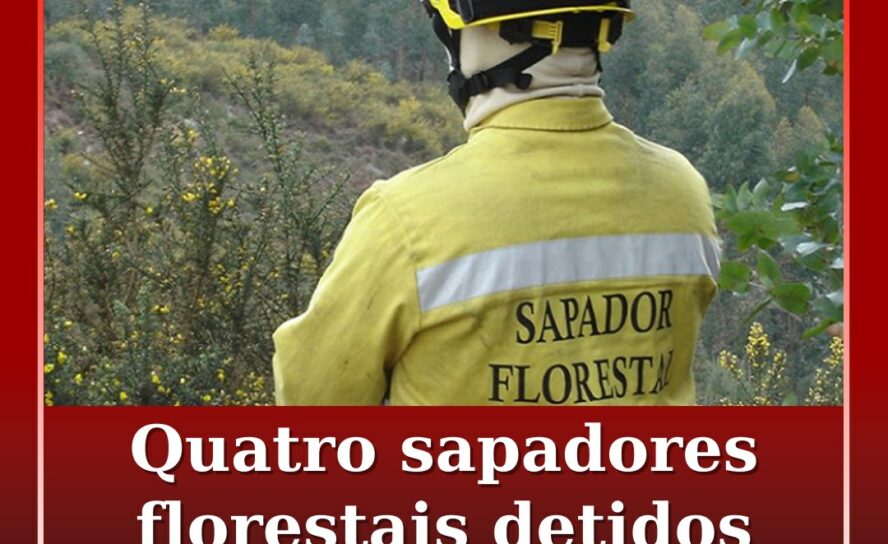 Quatro sapadores florestais detidos por violação