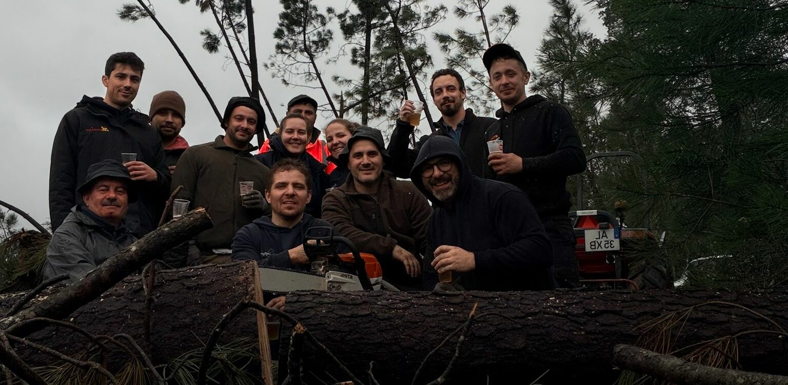 Voluntários unem-se na Sertã para desobstruir caminhos após as tempestades