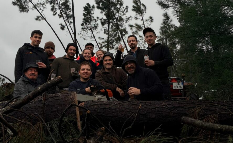 Voluntários unem-se na Sertã para desobstruir caminhos após as tempestades