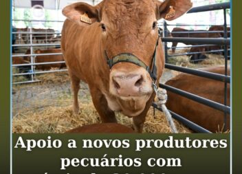 Apoio à instalação de novos produtores pecuários com prémio de 30.000 euros