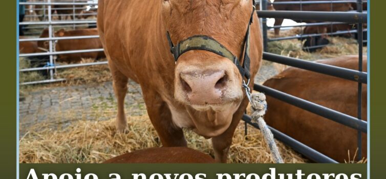 Apoio à instalação de novos produtores pecuários com prémio de 30.000 euros