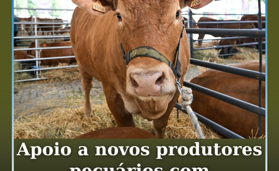 Apoio à instalação de novos produtores pecuários com prémio de 30.000 euros