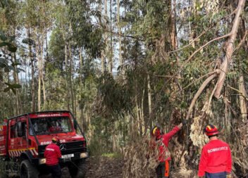 Bombeiros de Proença-a-Nova limpam caminhos florestais