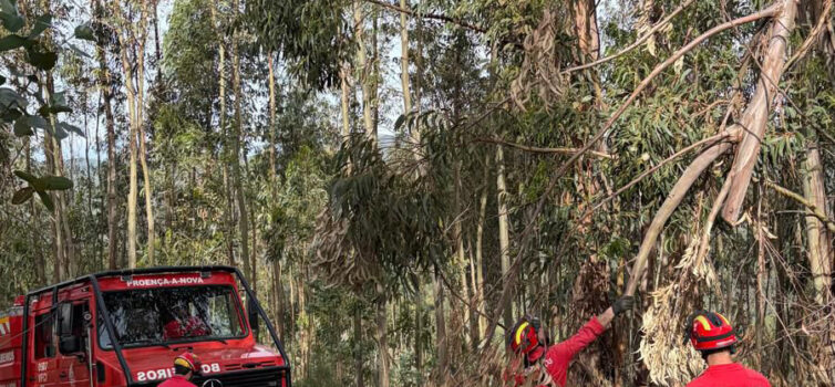 Bombeiros de Proença-a-Nova limpam caminhos florestais