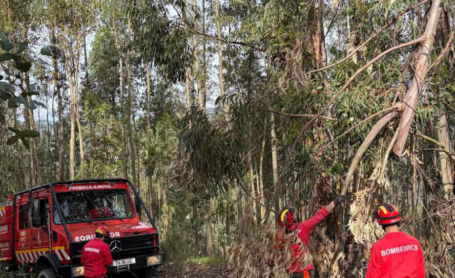 Bombeiros de Proença-a-Nova limpam caminhos florestais