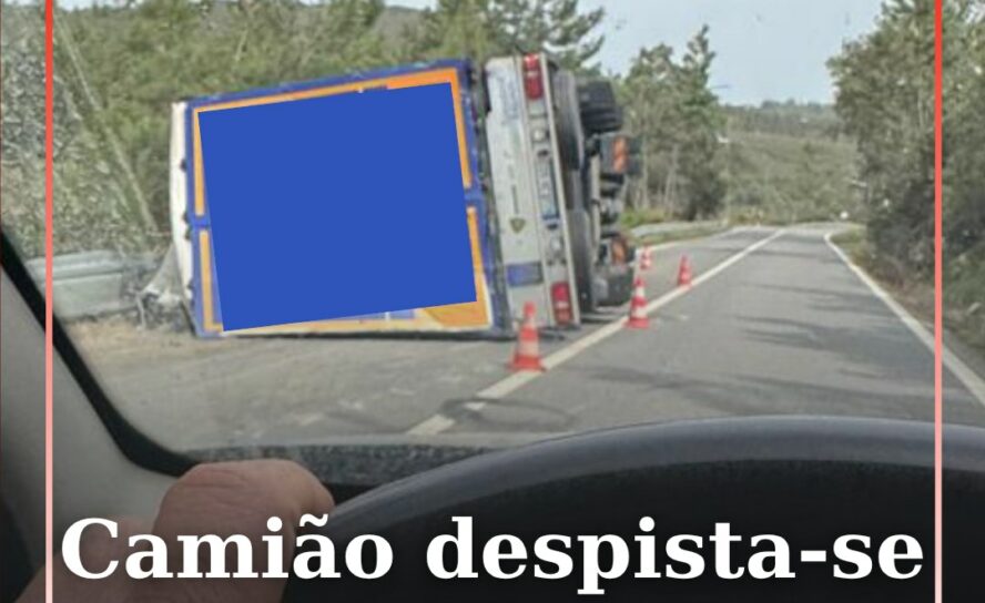 Camião despista-se em Castelo Branco