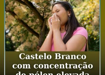 Castelo Branco com concentração de pólen elevada