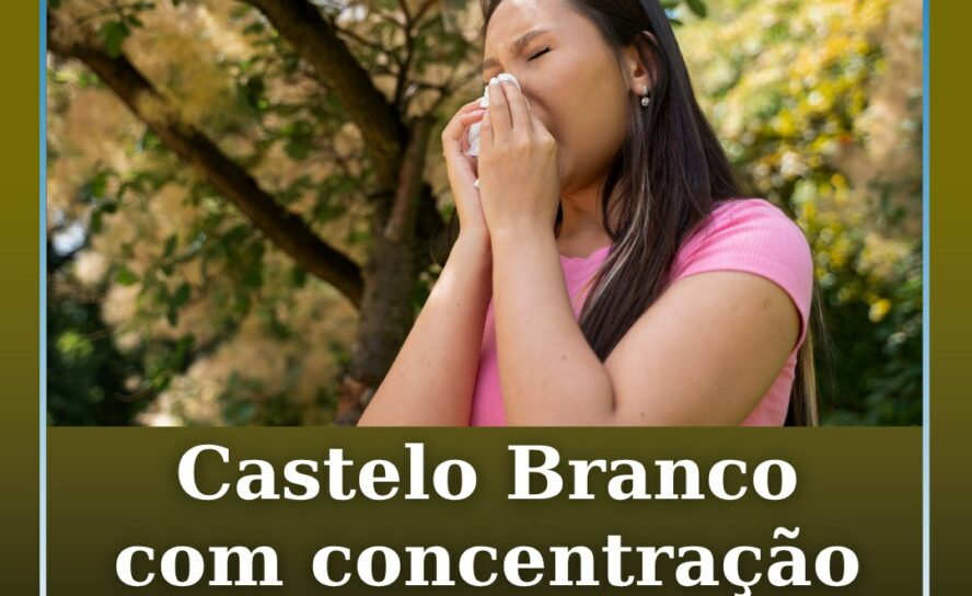 Castelo Branco com concentração de pólen elevada