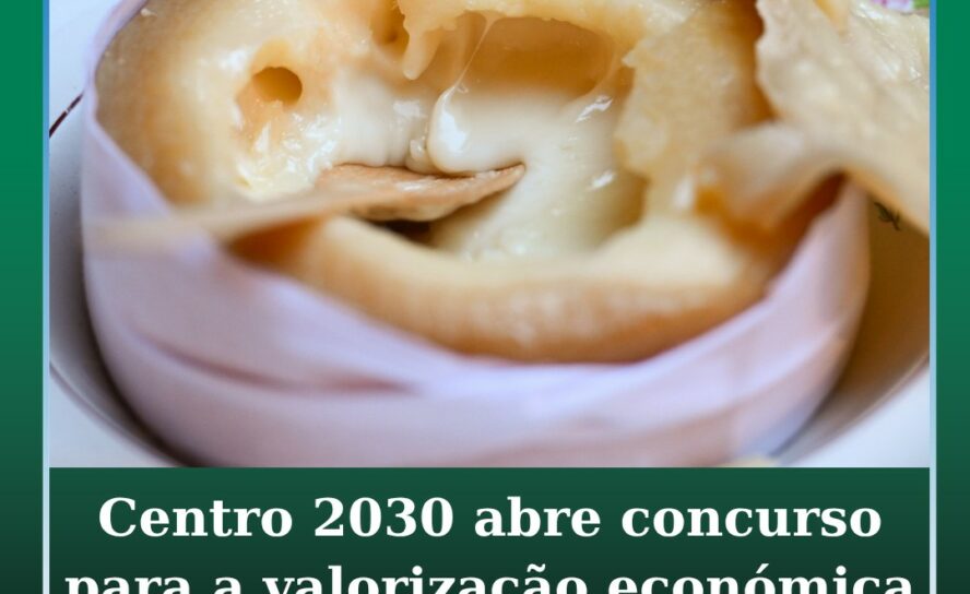 Centro 2030 abre concurso para a valorização económica dos recursos endógenos da