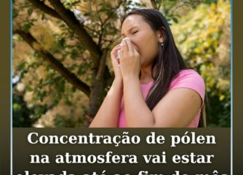 Concentração de pólen na atmosfera vai estar elevada até ao fim do mês