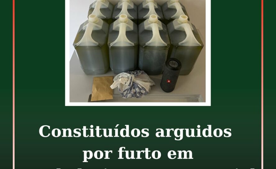 Constituídos arguidos por furto em estabelecimento comercial