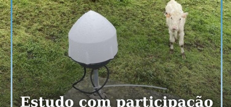 Estudo com participação da UBI ajuda a decifrar crise vulcânica nos Açores