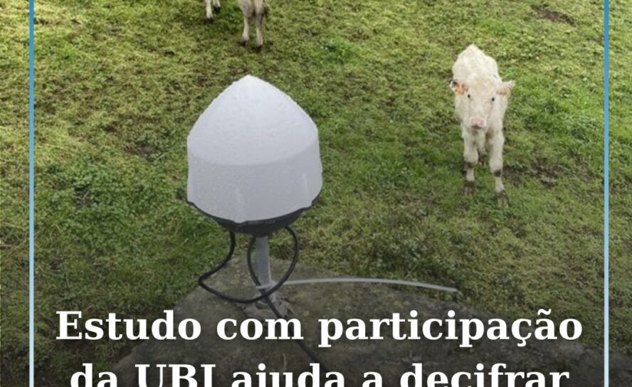 Estudo com participação da UBI ajuda a decifrar crise vulcânica nos Açores