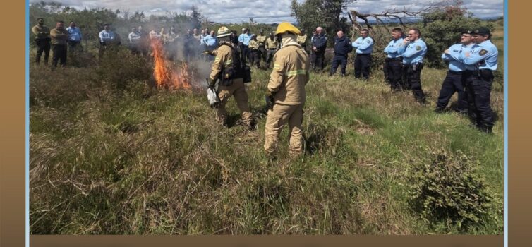 GNR recebe formação na área dos incêndios