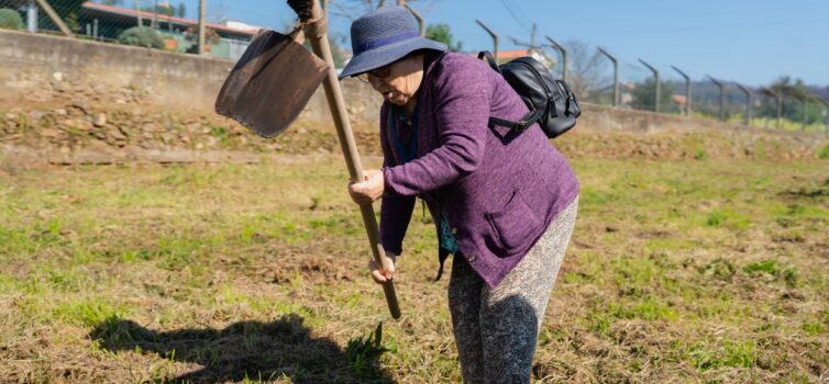 Mutualista da Covilhã promove plantação de árvores em Casegas