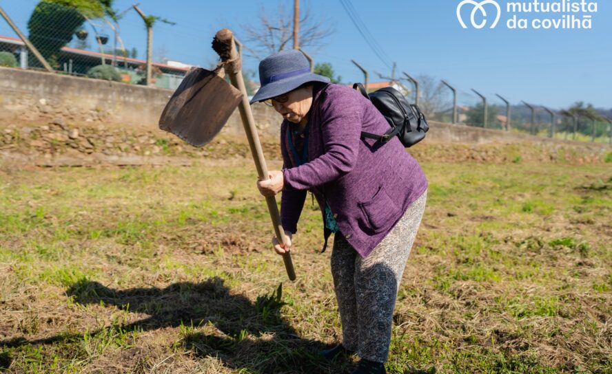 Mutualista da Covilhã promove plantação de árvores em Casegas
