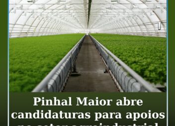 Pinhal Maior abre candidaturas para apoio a investimentos no setor agroindustria