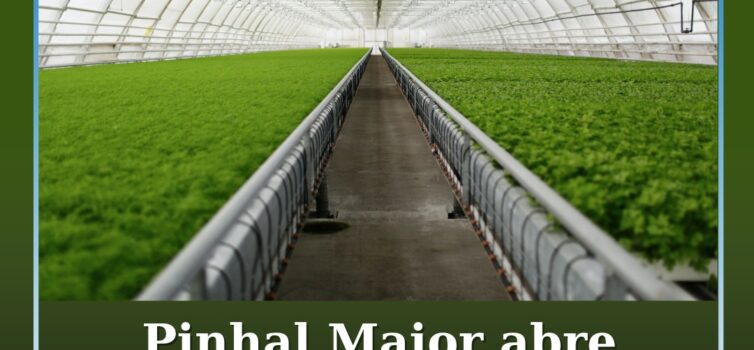 Pinhal Maior abre candidaturas para apoio a investimentos no setor agroindustria
