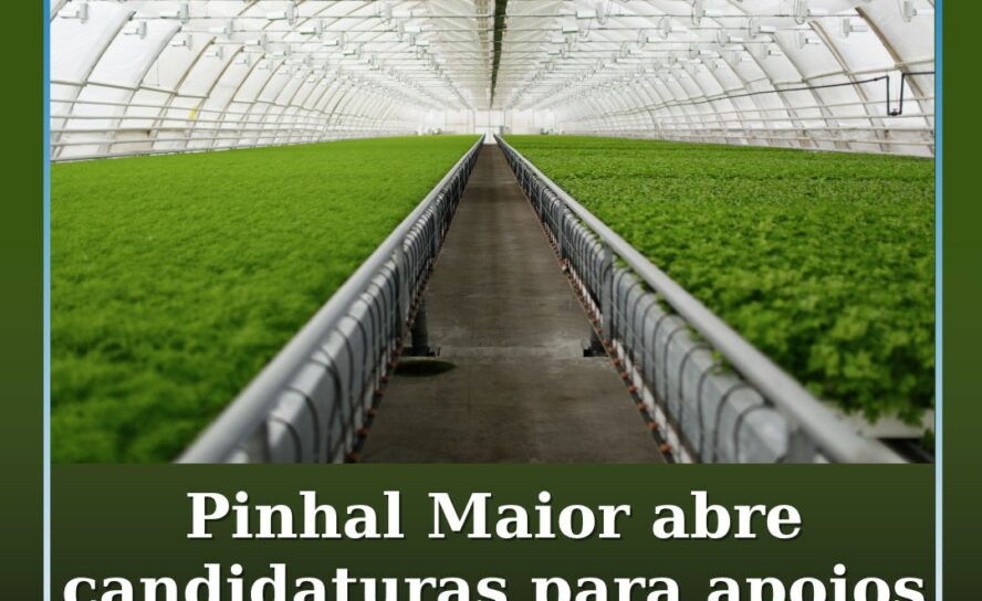 Pinhal Maior abre candidaturas para apoio a investimentos no setor agroindustria