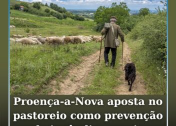 Proença‑a‑Nova integra apoio ao pastoreio para redução do risco de fogos rurais