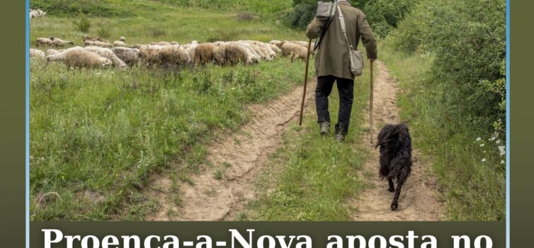 Proença‑a‑Nova integra apoio ao pastoreio para redução do risco de fogos rurais
