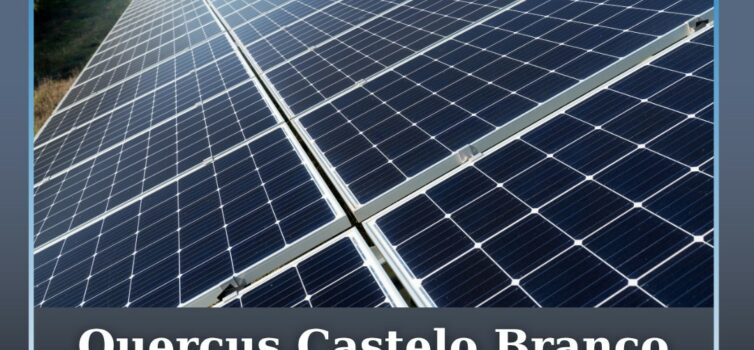 Quercus alerta para petição sobre megaprojetos solares