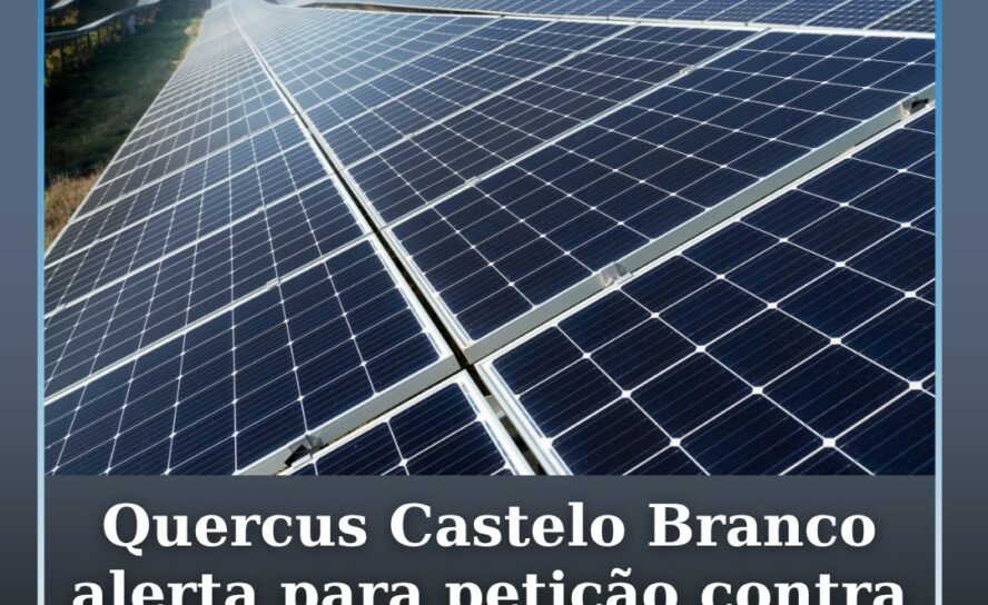 Quercus alerta para petição sobre megaprojetos solares