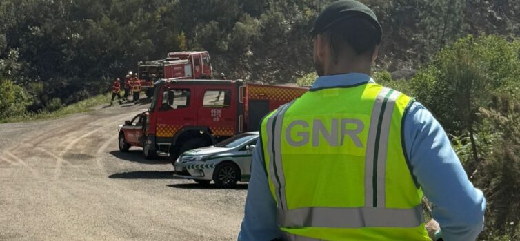 Simulacro de Incêndio Rural