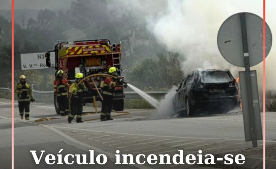 Veículo incendeia-se em Vila Velha de Ródão