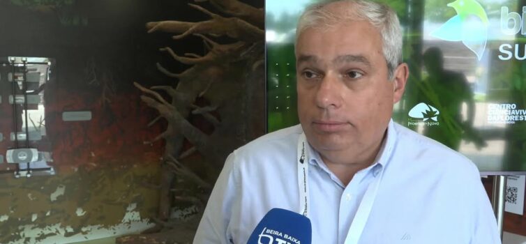 EM DIRETO: BEIRA BAIXA TV