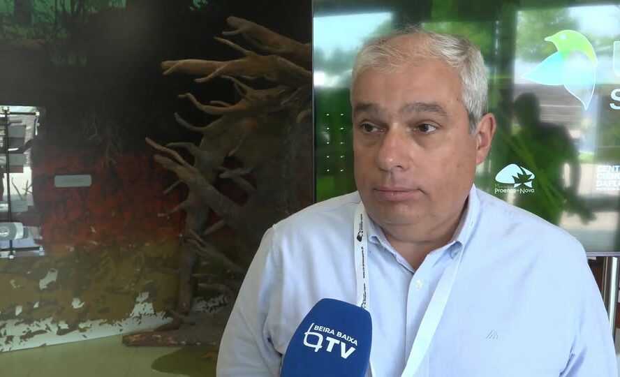 EM DIRETO: BEIRA BAIXA TV