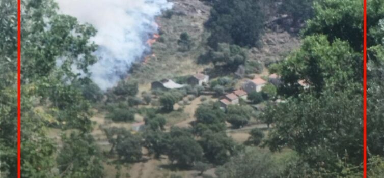 O alerta para um incêndio em zona de mato em Monsanto