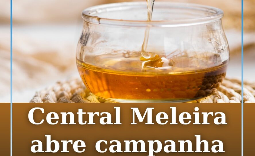 A Central Meleira de Castelo Branco assinalou esta segunda-feira, 25 de maio