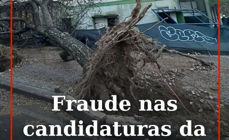CCDR Centro surpreendida com “fraude excessiva” nos apoios