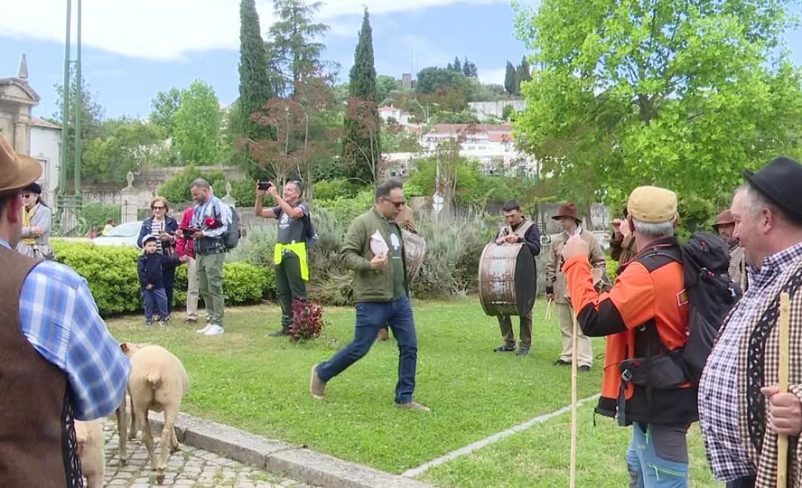 Chegada da primeira etapa da Grande Rota da Transumância ao Parque da Cidade de