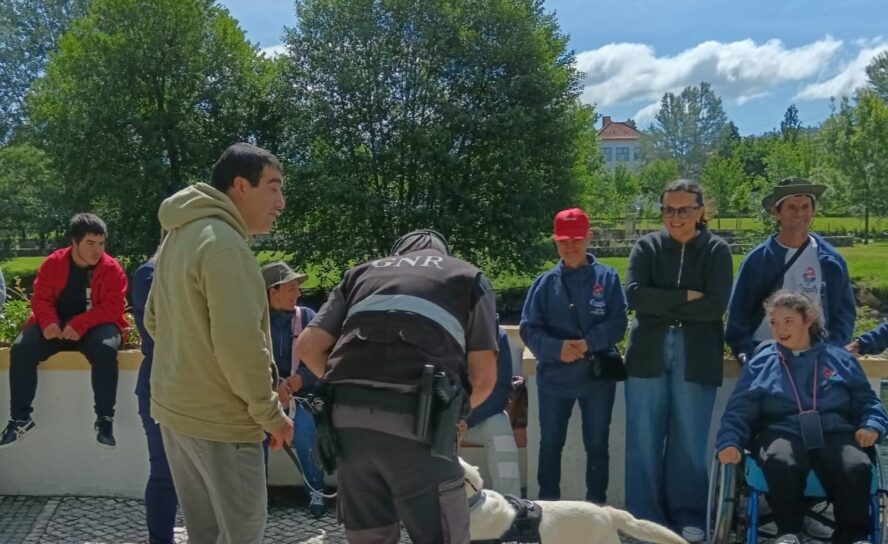 GNR faz demonstração de meios na Sertã