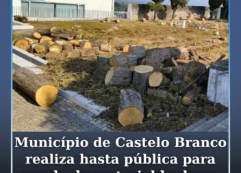 Hasta pública para venda de material lenhoso em Castelo Branco