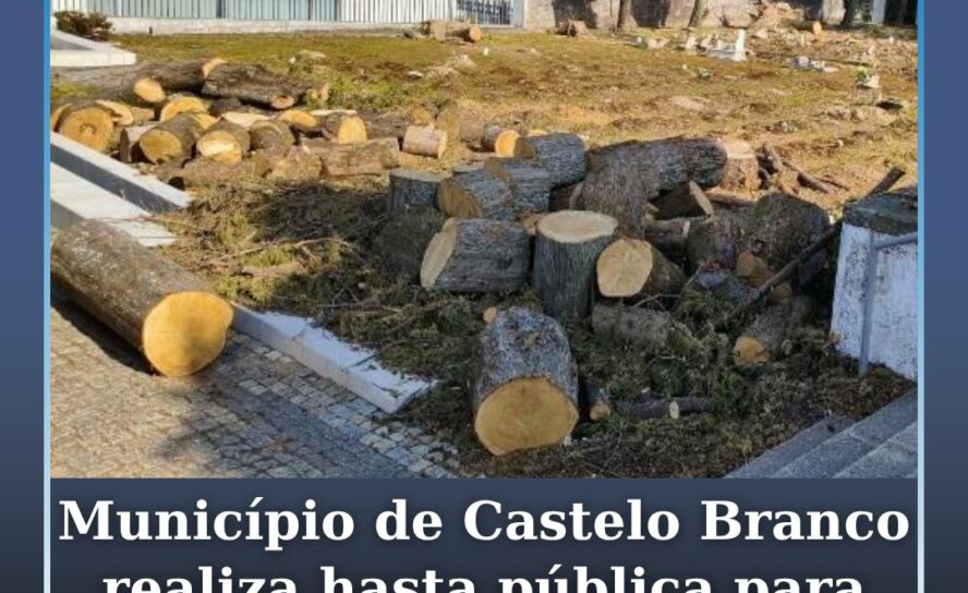Hasta pública para venda de material lenhoso em Castelo Branco
