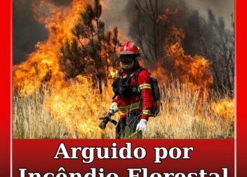 Homem constituído arguido por incêndio florestal em Castelo Branco